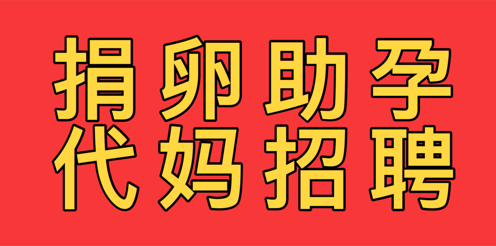同志供卵代怀公司