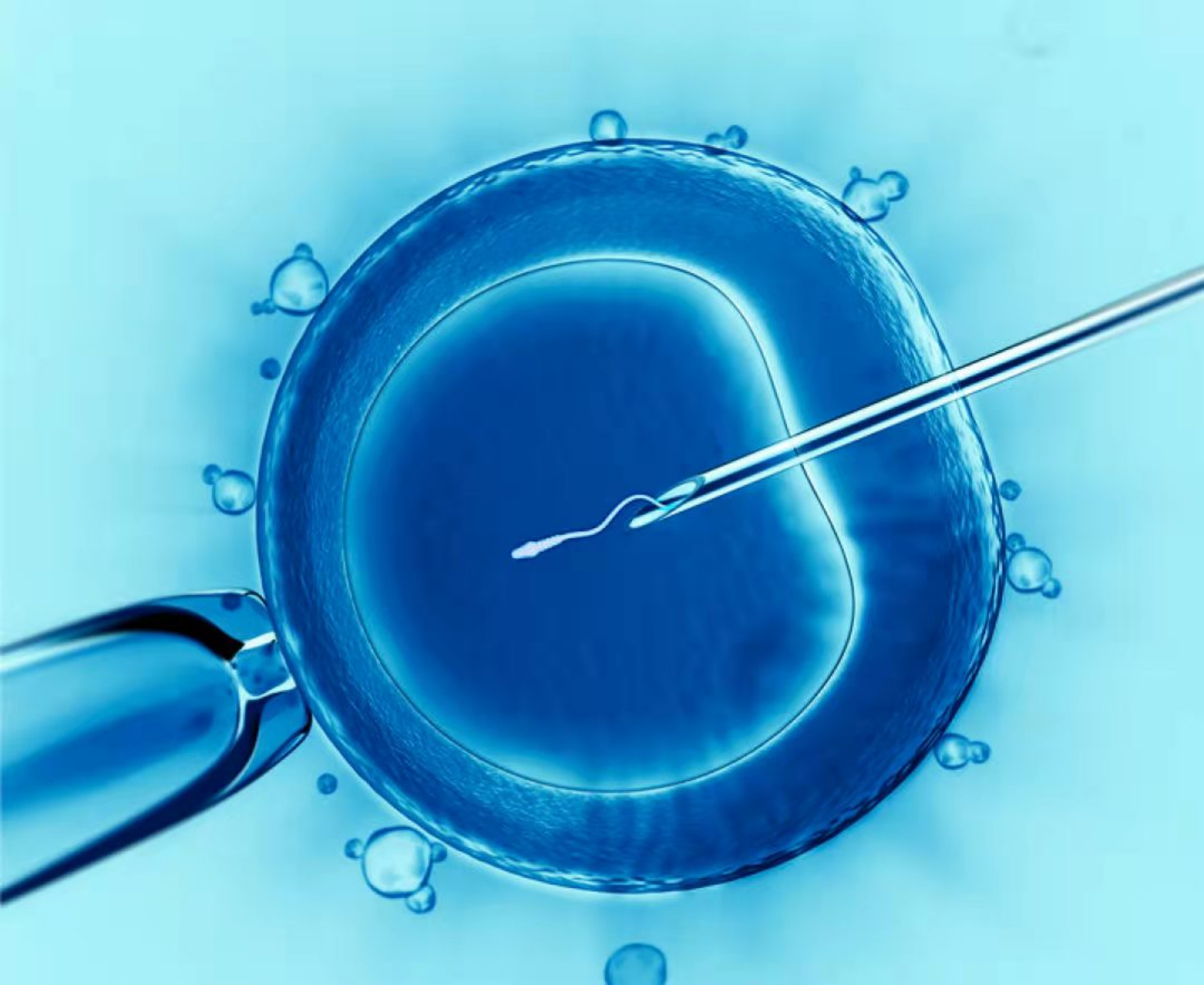 邵阳辅助生殖技术现状与发展