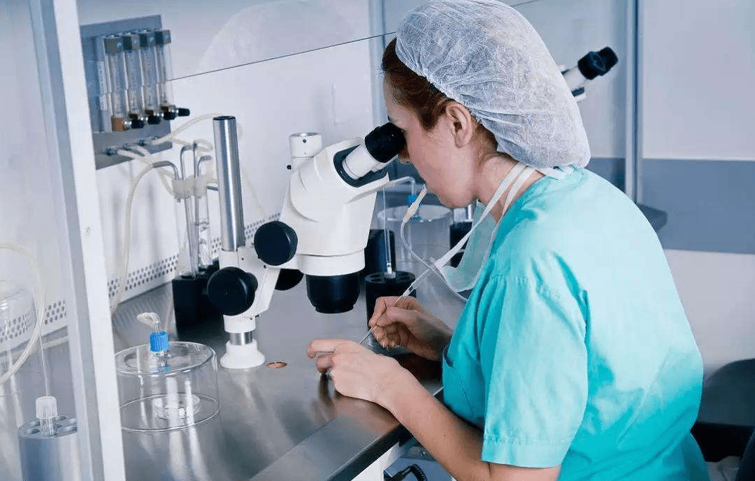 邵阳地区试管婴儿技术应用现状分析