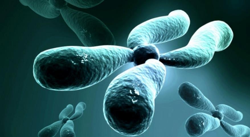 邯郸不育不孕病因诊疗技术