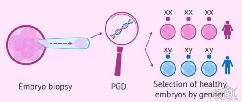 郑州不孕不育医院试管婴儿成功率分析
